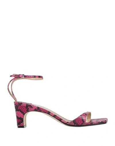Sergio Rossi Woman Sandals Fuchsia Size 8 Soft Leather In Pink