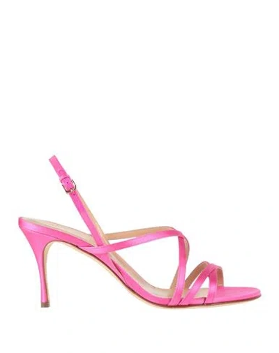 Sergio Rossi Woman Sandals Fuchsia Size 8 Textile Fibers In Pink
