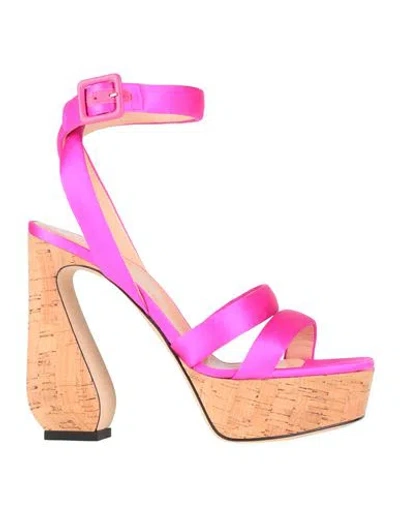 Sergio Rossi Woman Sandals Fuchsia Size 8 Textile Fibers In Pink