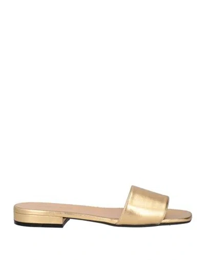 Sergio Rossi Woman Sandals Gold Size 8 Leather