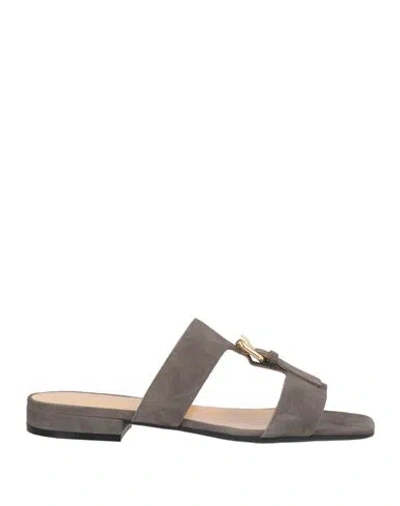 Sergio Rossi Woman Sandals Grey Size 8 Leather In Gray