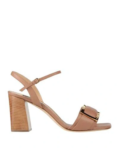 Sergio Rossi Woman Sandals Light Brown Size 4.5 Leather