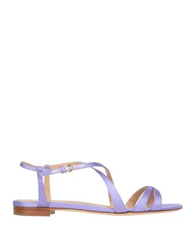 Sergio Rossi Woman Sandals Lilac Size 7 Textile Fibers In Purple