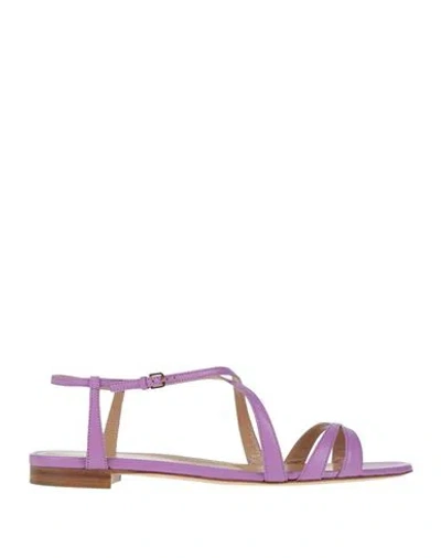 Sergio Rossi Woman Sandals Lilac Size 8 Leather In Purple
