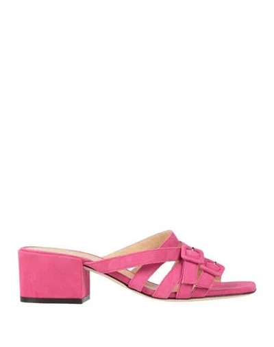 Sergio Rossi Woman Sandals Magenta Size 6 Leather In Purple