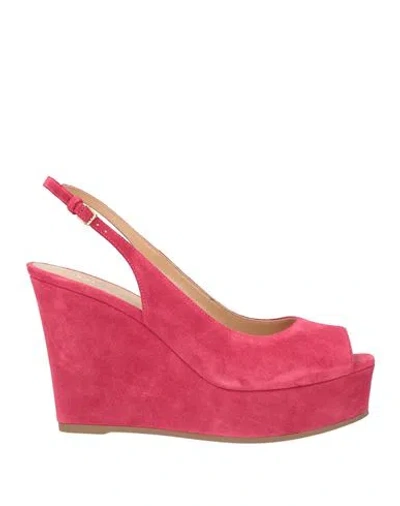 Sergio Rossi Woman Sandals Magenta Size 9 Leather