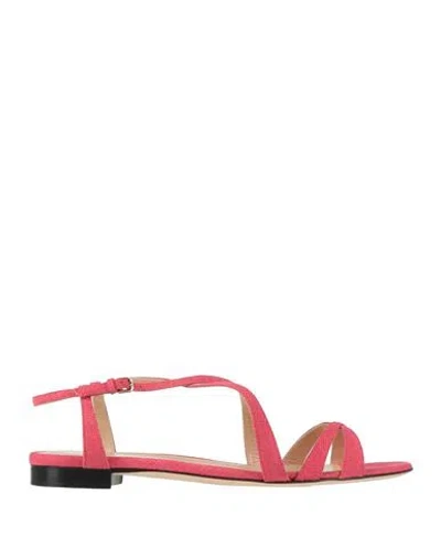 Sergio Rossi Woman Sandals Magenta Size 9 Leather In Pink