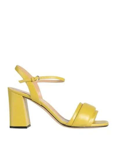 Sergio Rossi Woman Sandals Mustard Size 8 Leather