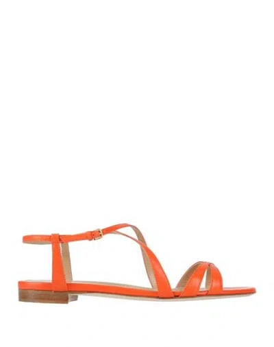 Sergio Rossi Sr Lunettes Open-toe Sandals In Orange
