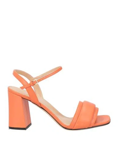 Sergio Rossi Woman Sandals Orange Size 9.5 Leather In Black