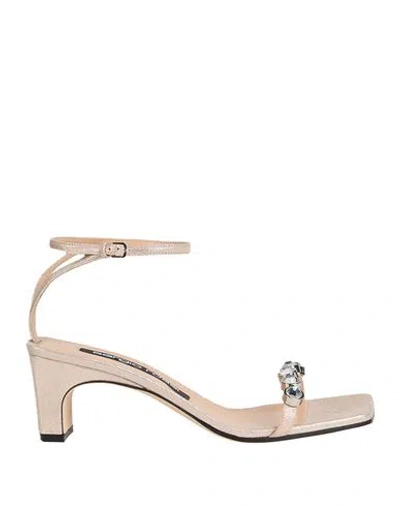 Sergio Rossi Woman Sandals Platinum Size 5.5 Leather In Grey