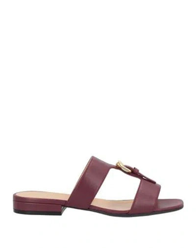 Sergio Rossi Woman Sandals Plum Size 7.5 Leather In Purple