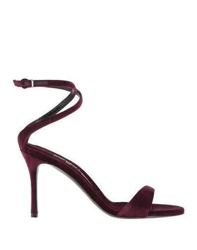 Sergio Rossi Woman Sandals Plum Size 7.5 Textile Fibers In Purple