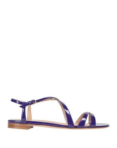 Sergio Rossi Woman Sandals Purple Size 8 Leather