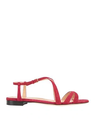 Sergio Rossi Woman Sandals Red Size 7 Leather