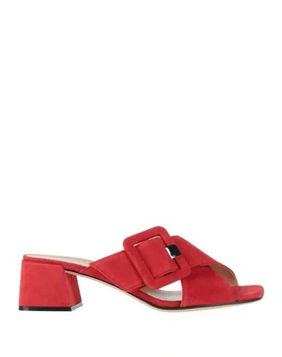 Sergio Rossi Woman Sandals Red Size 8 Leather