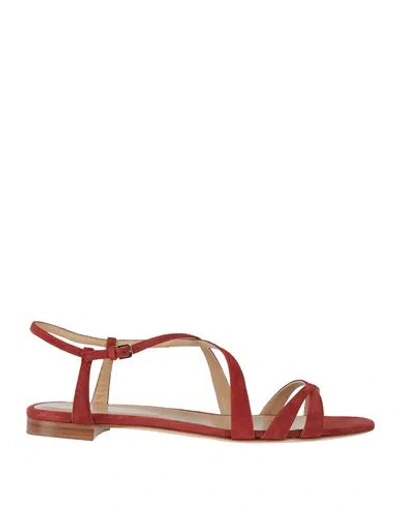 Sergio Rossi Woman Sandals Rust Size 10.5 Leather In Red