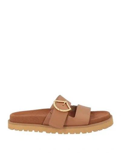 Sergio Rossi Woman Sandals Tan Size 6.5 Leather