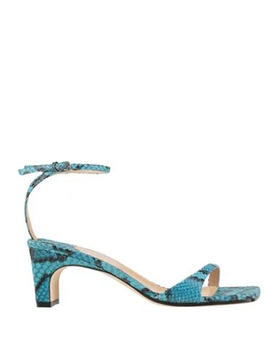 Sergio Rossi Woman Sandals Turquoise Size 7 Leather In Blue