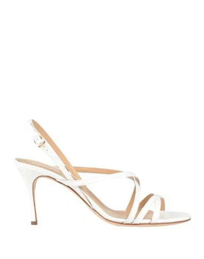Sergio Rossi Woman Sandals White Size 6.5 Leather In White
