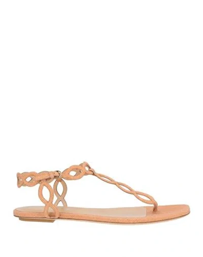 Sergio Rossi Woman Thong Sandal Apricot Size 7 Leather In Brown