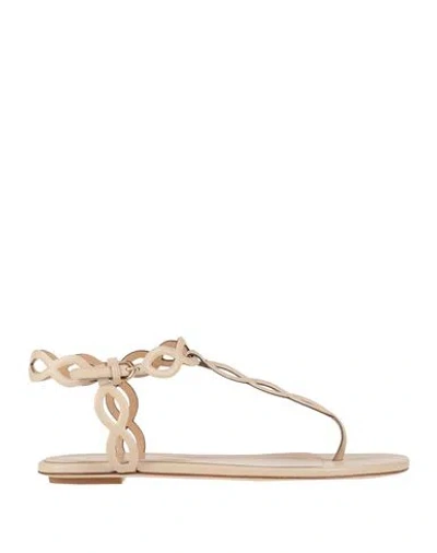 Sergio Rossi Woman Thong Sandal Beige Size 6 Leather