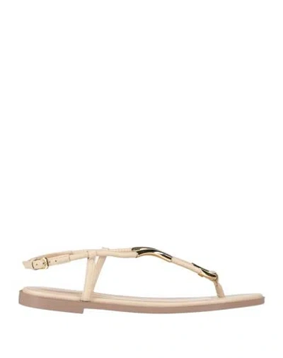 Sergio Rossi Woman Thong Sandal Beige Size 6 Leather, Metal In Gold
