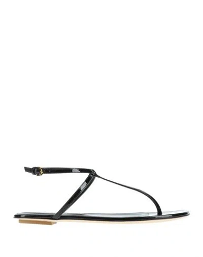 Sergio Rossi Woman Thong Sandal Black Size 5.5 Calfskin