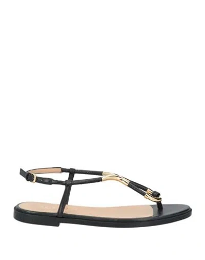 Sergio Rossi Woman Thong Sandal Black Size 6 Leather In Multi
