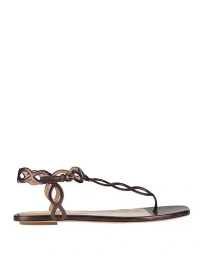 Sergio Rossi Woman Thong Sandal Bronze Size 8 Leather In Yellow