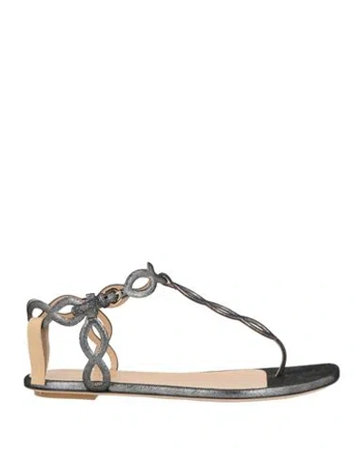 Sergio Rossi Woman Thong Sandal Charcoal Size 8 Textile Fibers In Gray