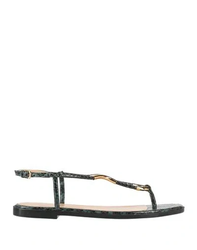 Sergio Rossi Woman Thong Sandal Dark Green Size 8 Leather