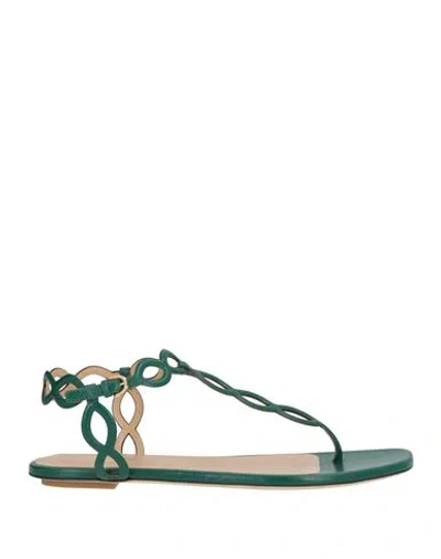 Sergio Rossi Woman Thong Sandal Dark Green Size 8 Leather
