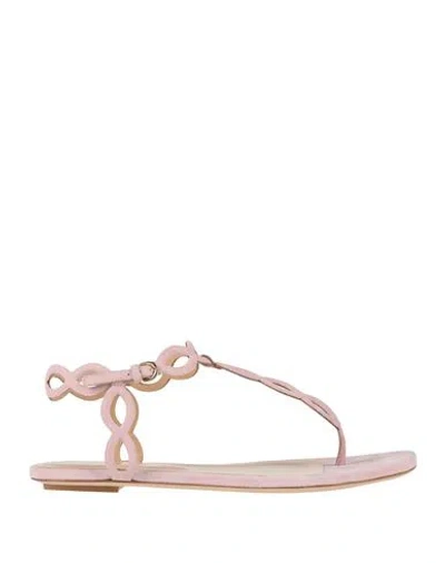 Sergio Rossi Woman Thong Sandal Light Pink Size 6 Leather