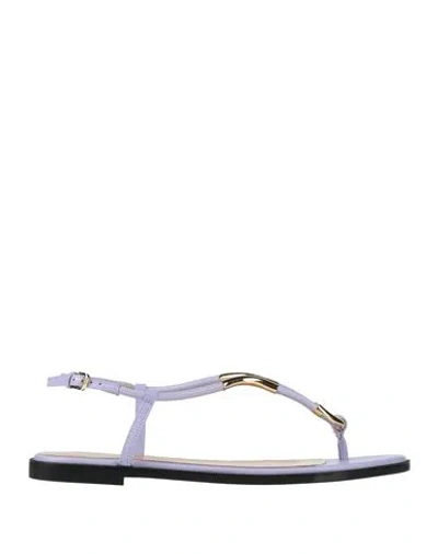 Sergio Rossi Woman Thong Sandal Lilac Size 8 Leather, Metal In Multi