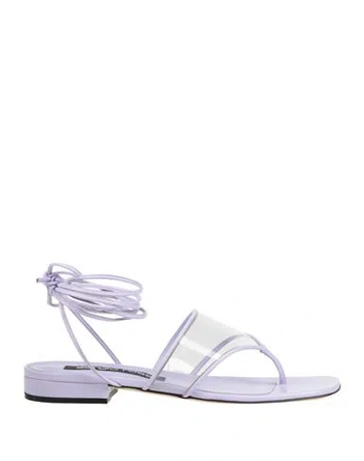 Sergio Rossi Sr Lunettes 15 Leather And Pvc Sandals In Lavender