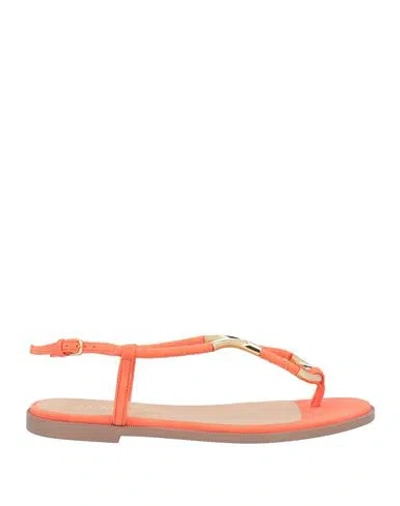 Sergio Rossi Woman Thong Sandal Orange Size 7 Leather In Multi