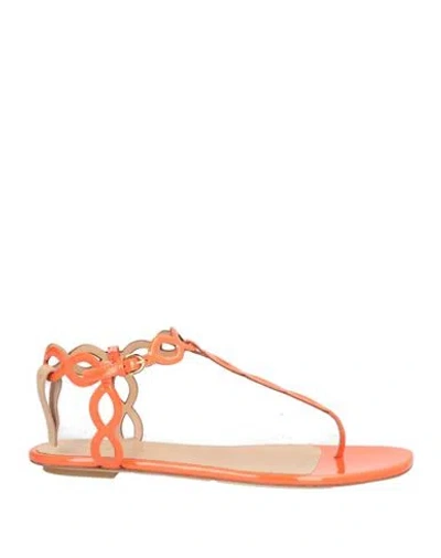 Sergio Rossi Woman Thong Sandal Orange Size 7.5 Leather In Pink