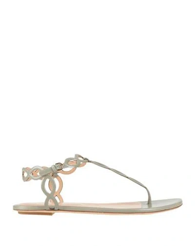 Sergio Rossi Woman Thong Sandal Sage Green Size 9 Leather