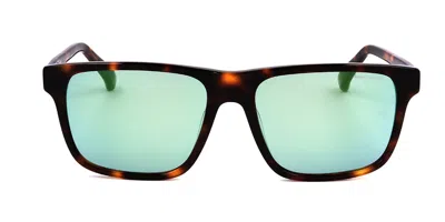 Sergio Tacchini St5015 403 Men's Sunglasses Tortoiseshell Size 54 In Brown