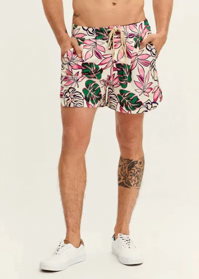Ser.o.ya Bree Swim Shorts In White Tropical In Multi