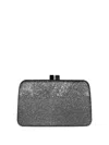 Serpui Celine Clutch Bag