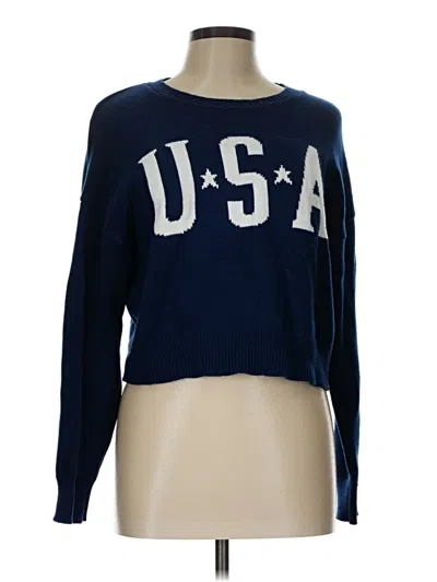 Pre-owned Serra Pullover Sweater In Blue