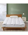 Serta 100% Cotton In White