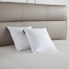 Serta 20x20'' Decorative Pillow Insert 2 Pack