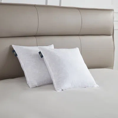Serta 20x20'' Decorative Pillow Insert 2 Pack