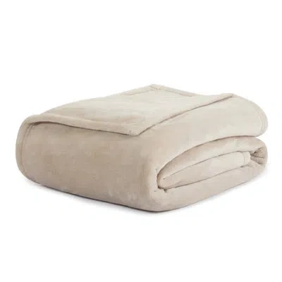 Serta Blanket In Taupe