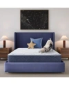 Serta Dream Haven 10 Medium Tight Top Mattress In A Box Collection