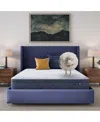Serta Dream Haven 10" Plush Pillow Top Mattress In A Box In Blue