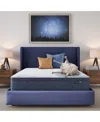 Serta Dream Haven 12" Plush Pillow Top Mattress In A Box In Transparent